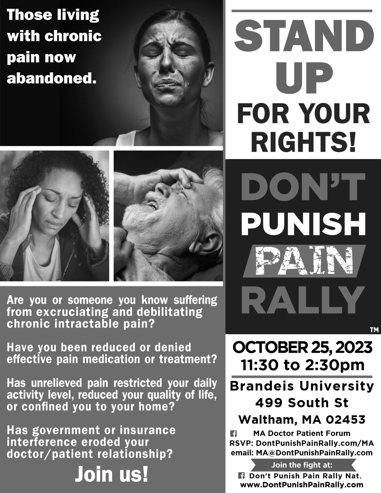 Rally flyer for MA Brandeis 6 in grey not color
